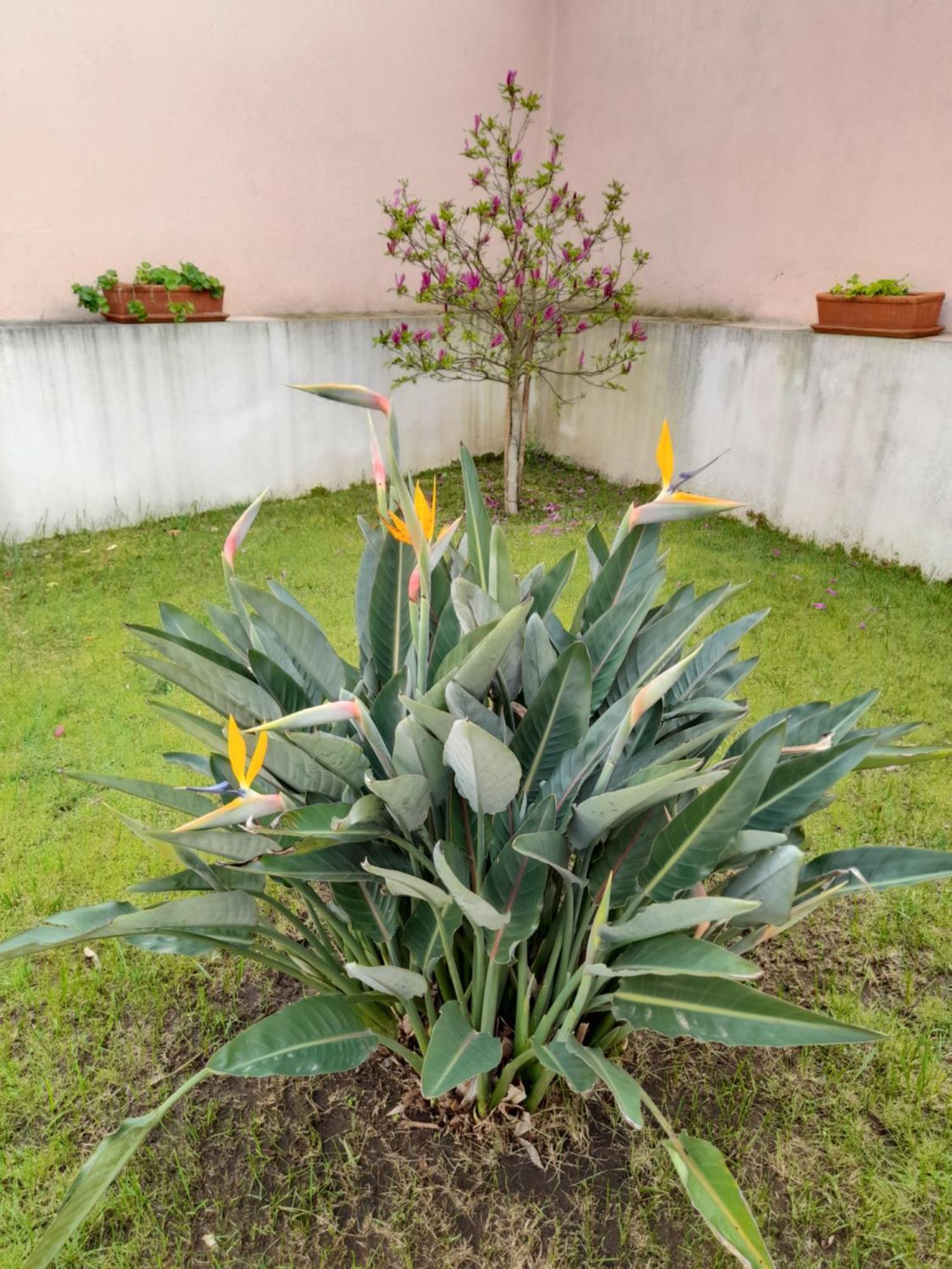 A Casa Da Avo Ana Villa Arneiro das Milharicas Exterior photo